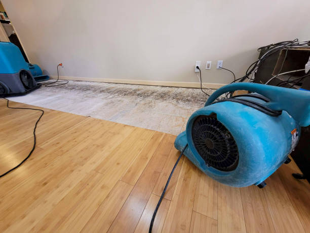 Professional Water Removal technician working in Gratis, OH
